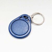 KEYLESS ENTRY SPARE KEY TAG BLUE COLOURED, UNCODED