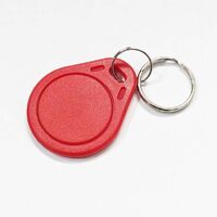 KEYLESS ENTRY SPARE KEY TAG RED COLOURED, UNCODED